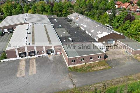 Mettingen Halle, Mettingen Hallenfläche