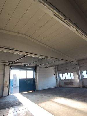 IMG_20250306_083857 (1).jpg