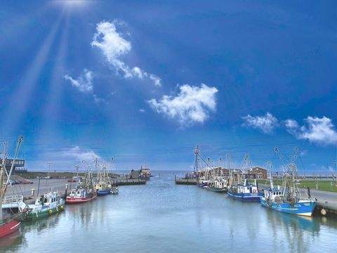 Dornum Häuser, Dornum Haus kaufen