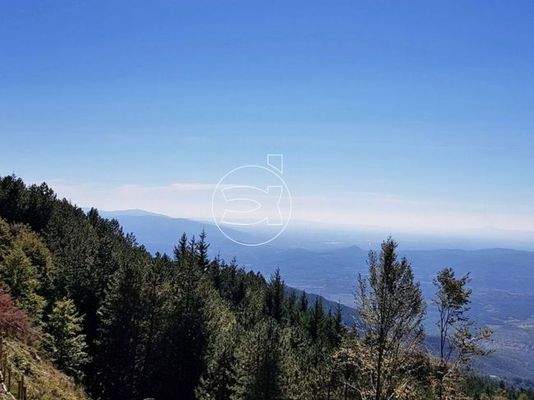 Ländliches Anwesen | Loro Ciuffenna