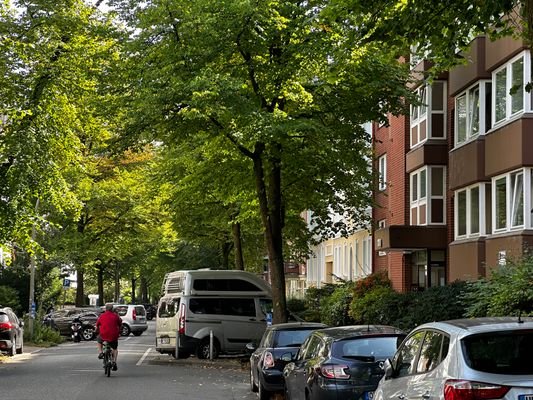 ruhige grüne Einbahnstraße