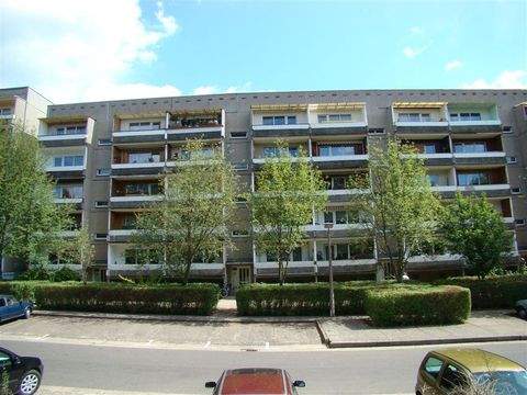 Neustrelitz Wohnungen, Neustrelitz Wohnung mieten