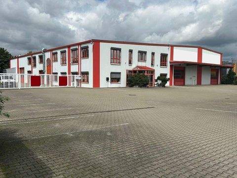 Mühlau Halle, Mühlau Hallenfläche