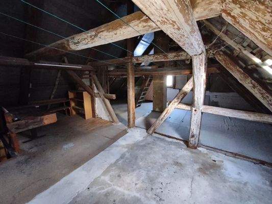 WhatsApp Image 2026-01-05 at 15.32.02.jpeg