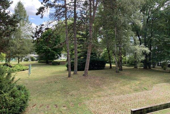 grünes Paradies vor dem Balkon