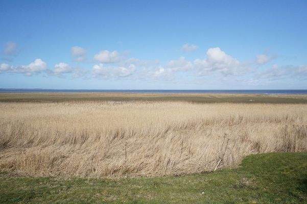 Blick vom Grundstück