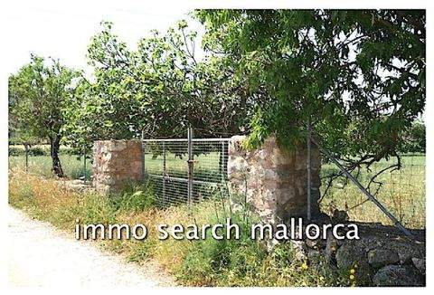 Arta Grundstücke, Arta Grundstück kaufen