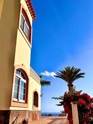 WhatsApp Image 2024-05-24 at 20.33.18.jpeg