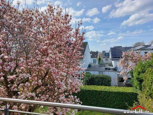 Blick aus dem Obergeschoss