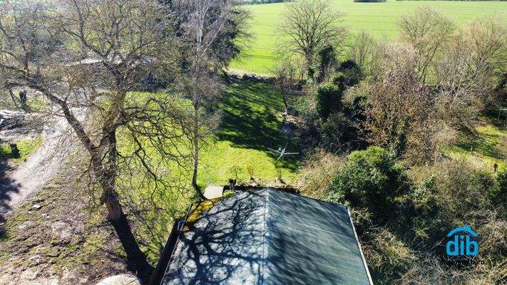 Blick auf den Garten