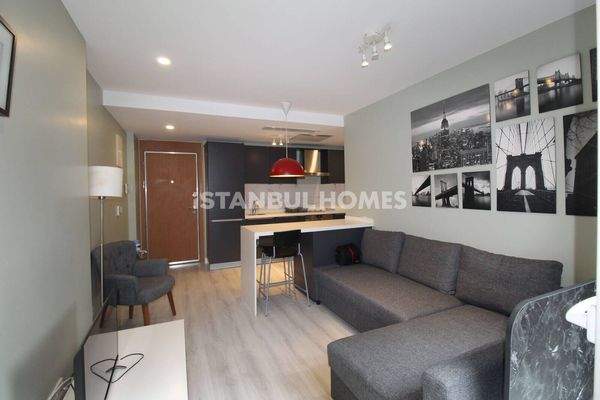 Furnished 1-Bedroom Flat with Garden in Eyüpsultan