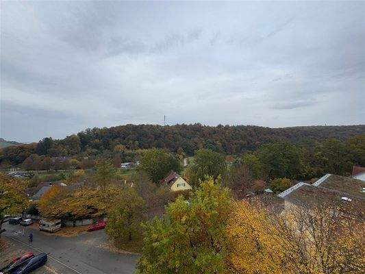 Immer im Blick: die Ausläufer des Schönbuch