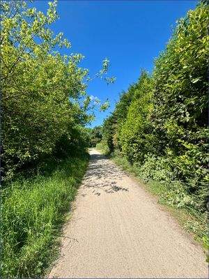 Spazierweg hinter dem Grundstück