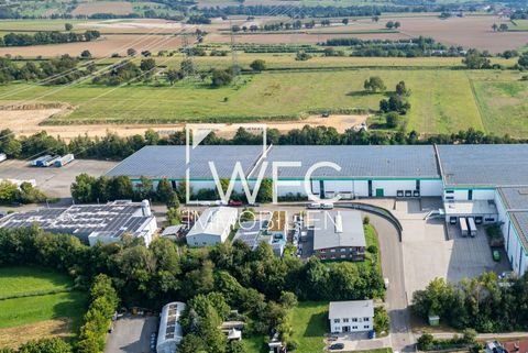 Bretten Halle, Bretten Hallenfläche