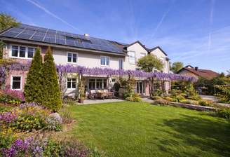 Tolle Gartenansicht mit Blauregen (mit KI bearbeit