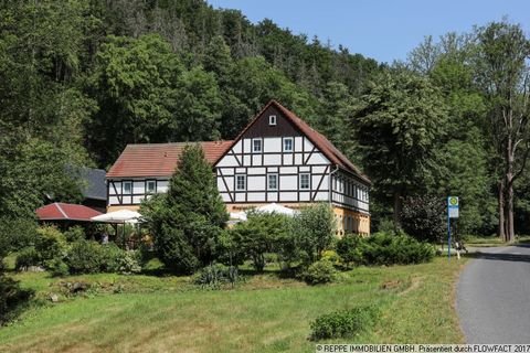 Hohnstein Gastronomie, Pacht, Gaststätten