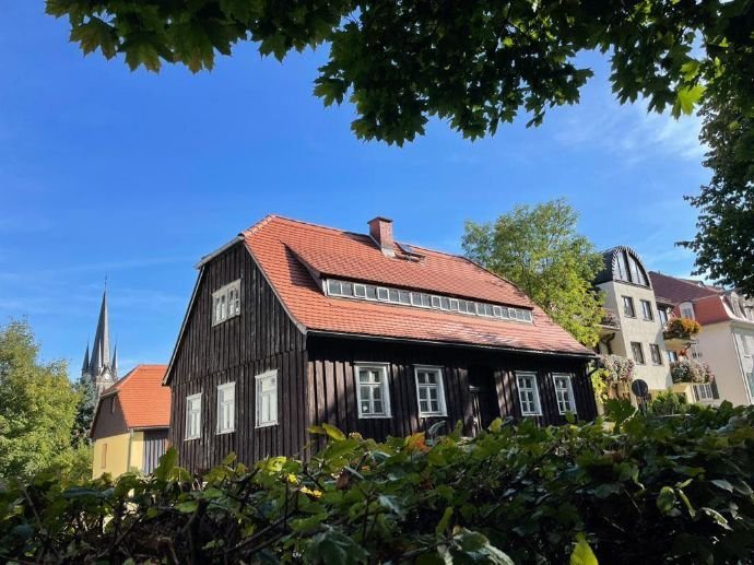 Perfekt für Heimwerker! Einfamilienhaus in Traumlage mit möglicher Denkmalförderung direkt am Park im schönen Neustadt (Sachsen)