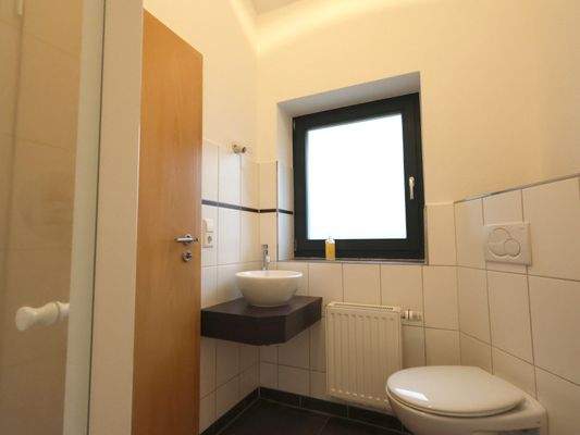 Gäste-WC mit Dusche EG