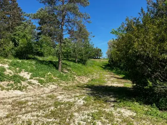 22Grund-Ostgrenze.JPEG
