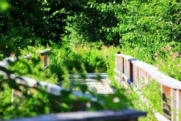 Hemmelsdorfer See - Steganlagen II