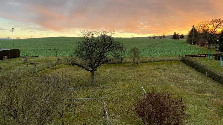 Blick aufs Grundstück