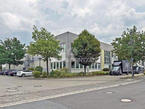 Dormagen Halle, Dormagen Hallenfläche