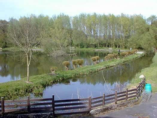 Mühlenteich