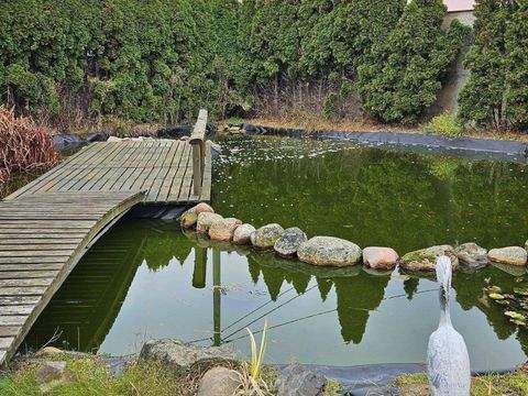 Uebigau-Wahrenbrück Häuser, Uebigau-Wahrenbrück Haus kaufen