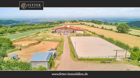 Battenberg (Pfalz) Bauernhöfe, Landwirtschaft, Battenberg (Pfalz) Forstwirtschaft