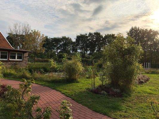 Biotop beim Heidihaus