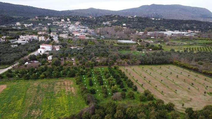 Kreta, Stilos: Charmantes ländliches Grundstück mit Bergblick zu verkaufen