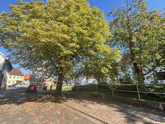 Schlierbach | Unmittelbare Umgebung Immobilie