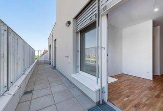 PMP456-AN-24955-Top 42-008