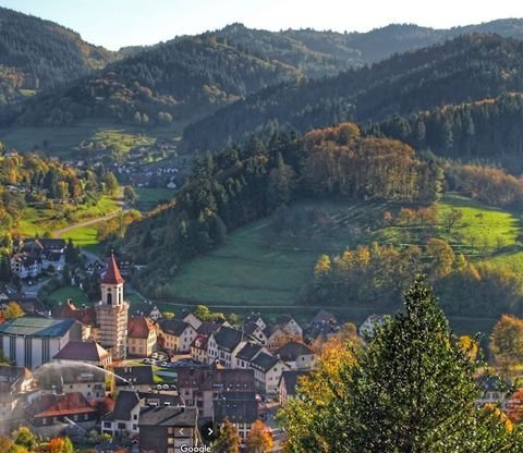 Ottenhöfen im Schwarzwald Grundstücke, Ottenhöfen im Schwarzwald Grundstück kaufen