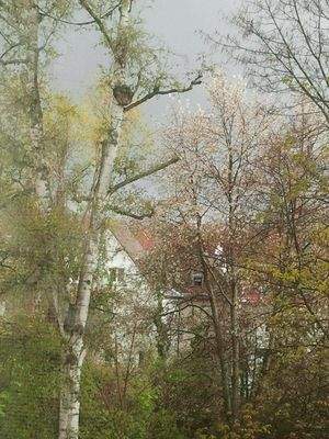 Blick vom Wohnzimmer