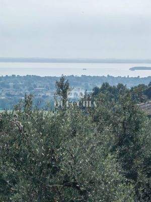 WhatsApp Image 2025-12-17 at 2222.jpg