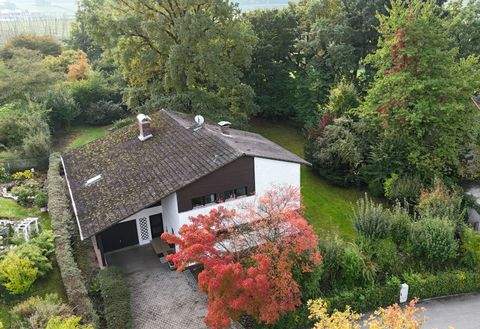 Mainburg Häuser, Mainburg Haus kaufen