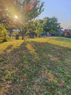 20250715_Garten_Ausblick