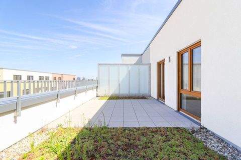 Frankfurt Wohnungen, Frankfurt Wohnung mieten