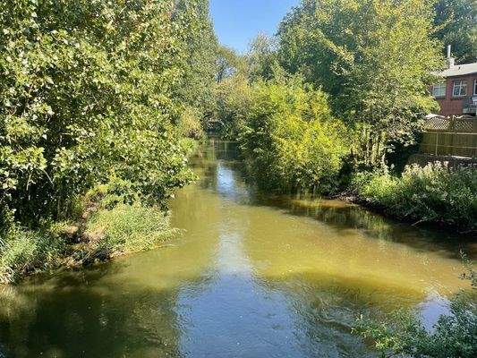 Zuwegung und Trave (4)