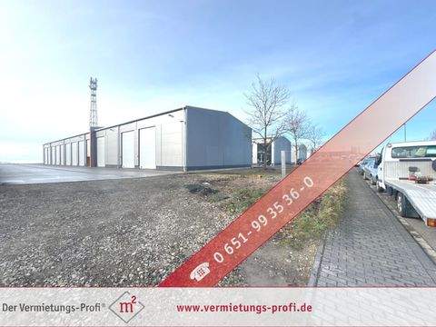 Trierweiler Halle, Trierweiler Hallenfläche