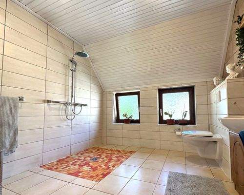 großes Duschbad mit Fenstern zum Innenhof