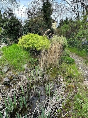 Garten mit Teich