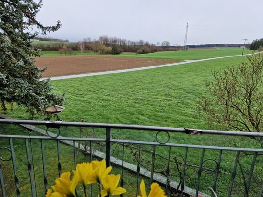 Blick vom Balkon OG..jpg
