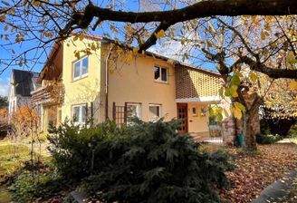 Ansicht Garten Straße