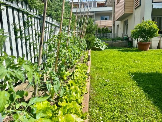 Meran-Merano-Untermais-Maia bassa-Vierzimmerwohnung-4-Zimmer-Wohnung-Quadrilocale-Giardino-Garten-Loggia-Terrasse-terrazza-garage-piano terra-Erdgeschoss-Keller-Gemüsebeet-verdura-Entspannen-relax-spielen-Küche-cucina-soggiorno-Wohnzimmer-vendita-Verkauf