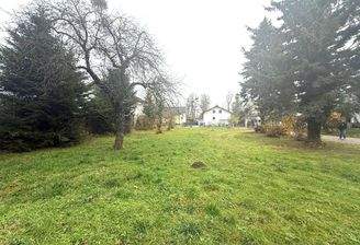 WhatsApp Bild 2025-11-17 um 09.49.09_122a6f20