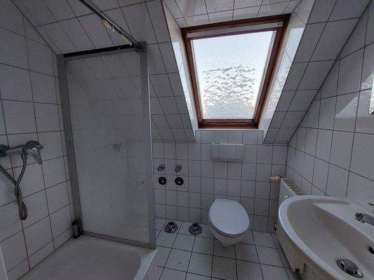 3 Tageslichtbad mit Dusche