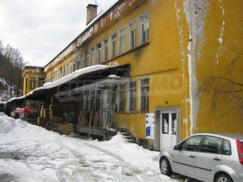 Gabrovo Halle, Gabrovo Hallenfläche