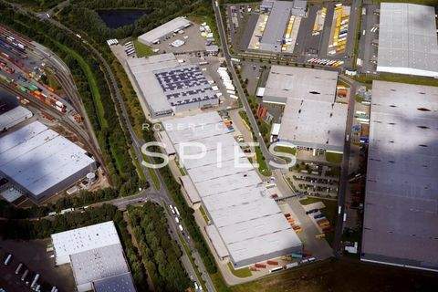 Bremen Halle, Bremen Hallenfläche